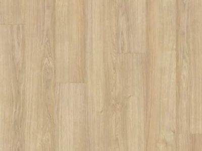 Galaxi II by Beaulieu - Canada