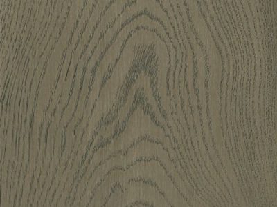 Prime Collection by Goodfellow