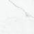 Carrara 12X24 Pressed Matte