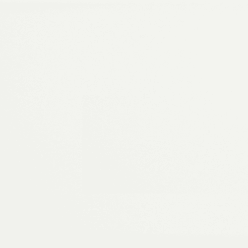 Canvas White 8X16 Pressed Glossy